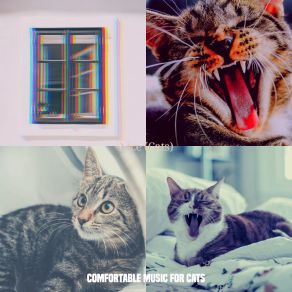 Download track Music (Feelings) Comfortable Music For CatsThe Feelings