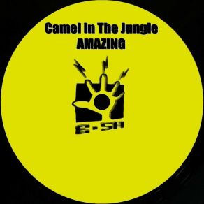 Download track Amazing (Dub) Camel In The Jungle