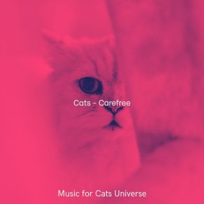 Download track Warm (Sleeping Cats) Music For Cats Universe