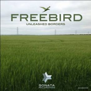 Download track The French Street (Original Mix) FreeBird