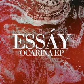 Download track Ocarina (D / R / U / G / S Remix) EssáyThe G..., THE R