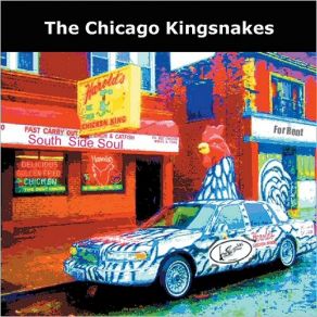 Download track Coulda Shoulda Woulda The Chicago Kingsnakes