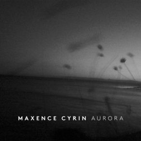 Download track A Forest Bird Never Wants A Cage Maxence Cyrin