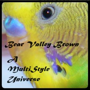 Download track Walking To Memphis Bear Valley Brown