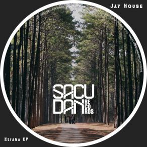 Download track Lia (Original Mix) Jay Tripwire