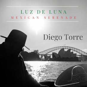 Download track Qué Bonita Es Mi Tierra Diego Torre