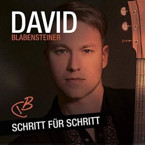 Download track Alles Im Griff David Blabensteiner