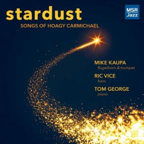 Download track Stardust Mike Kaupa, Tom George, Ric Vice