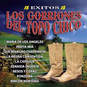 Download track La Astronauta Los Gorriones Del Topo Chico