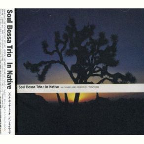 Download track In A Silent Dream Soul Bossa Trio