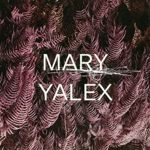 Download track Ambient Floor (Original Mix) Mary Yalex