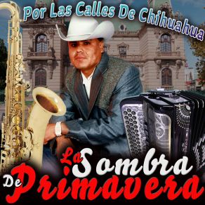 Download track Por Las Calles De Chihuahua La Sombra De Primavera