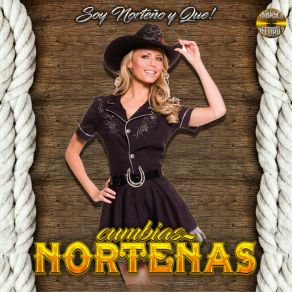 Download track Las Chicas Del Vacilon Cumbias NortenasCumbia Hits, Cumbia Para Bailar