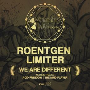 Download track The Mind Flayer (Original Mix) Roentgen Limiter