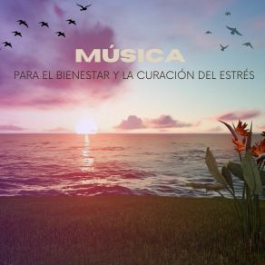 Download track Reduce La Ansiedad Carlos Melodías Curativas