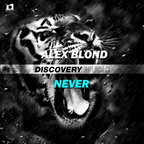 Download track Never (Radio Edit) Alex Blond (ITA)