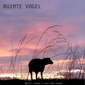 Download track Vibration Ruimte Vogel