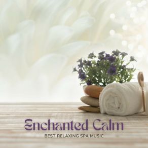 Download track Gentle Breezes Best Relaxing SPA Music