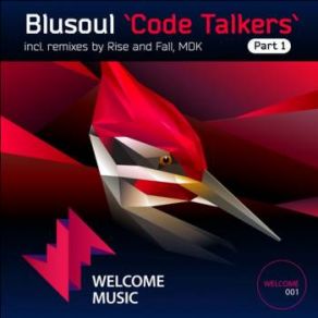 Download track Code Talkers (Rise And Fall Remix) Blusoul