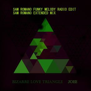 Download track Bizarre Love Triangle (Funky Melody Radio) Joee