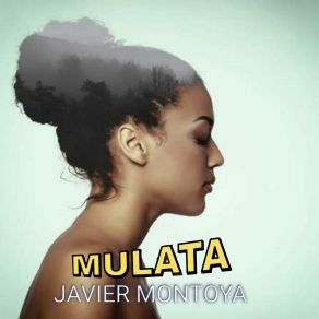 Download track Un Reto A La Vida Javier Montoya