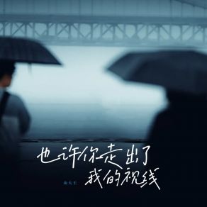 Download track 也许你走出了我的视线 (伴奏版) 山大王