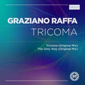 Download track The Only Way (Original Mix) Graziano Raffa