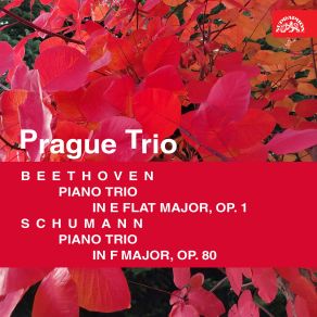 Download track Piano Trio No. 2 In F Major, Op. 80: III. In Mässiger Bewegung Prague Trio