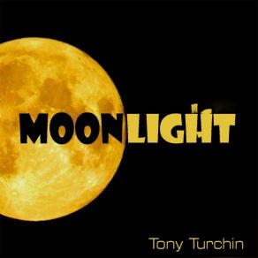 Download track My Opinion Tony Turchin