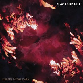 Download track The Masquerade Blackbird Hill