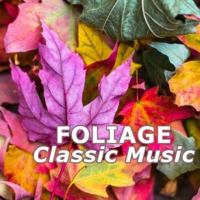 Download track Piano Concerto No. 21 In C Major, K. 467 Mozart Piano Concerto No. 21 In C Major, K. 467 - 2. Andante Wolfgang Amadeus Mozart, Vladimir Ashkenazy