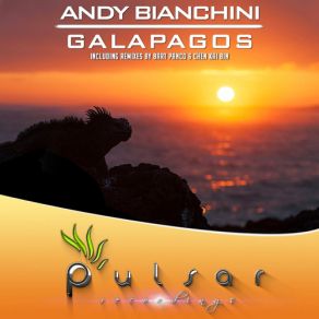 Download track Galapagos (Chen Kai Bin Remix) Andy Bianchini