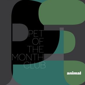 Download track My Medicine (Add Version) Pet Of The Month Club