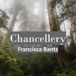 Download track Confidentially Francisca Bantz