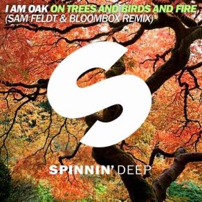 Download track On Trees And Birds And Fire (Sam Feldt & Bloombox Remix) I Am Oak