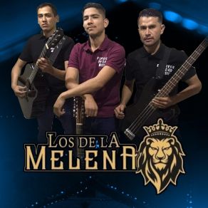 Download track El Pariente (La Cachucha Personalizada) [En Vivo] Los De La Melena