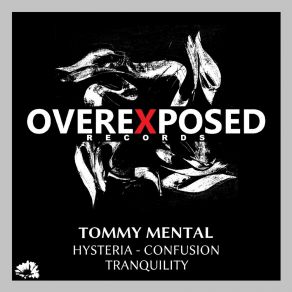 Download track Tranquility (Original Mix) Tommy Mental