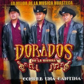 Download track La Noche Perfecta Dorados De La Sierra