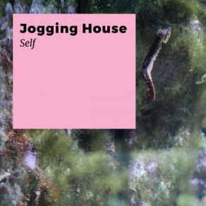 Download track Seas Jogging House