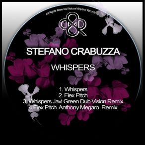 Download track Whispers (Javi Green Remix) Stefano Crabuzza