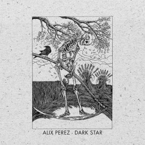 Download track Dark Star Alix Perez