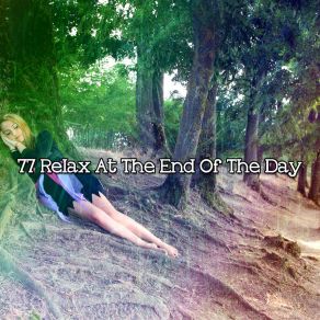 Download track Winding Down Relax Nature Sounds Artists