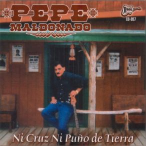 Download track Un Dia A La Vez Pepe Maldonado