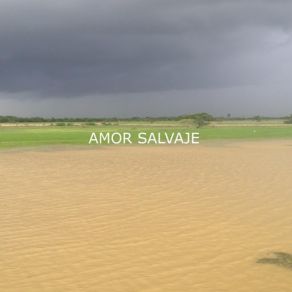 Download track Amor Salvaje Cholo Valderrama