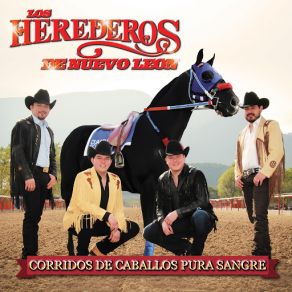 Download track La Yegua Bikina Los Herederos De Nuevo León