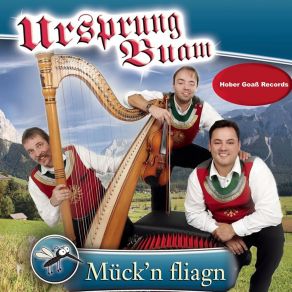 Download track Engel Ohne Flügel Ursprung Buam