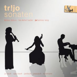 Download track Organ Sonata No. 3 In D Minor, BWV 527 (Arr. Tr! Jo For Recorder, Viola Da Gamba & Continuo): I. Andante Tabea Debus, Lea Rahel Bader, Johannes LangContinuo