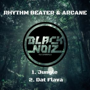 Download track Jungle Arcane, Rhythm Beater