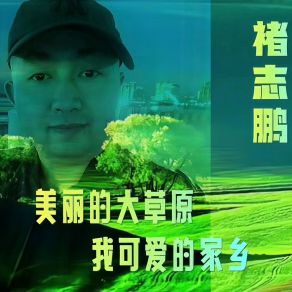 Download track 美丽的大草原我可爱的家乡 褚志鹏