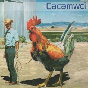 Download track Clwyf Cwrw Cacamwci